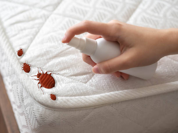 Best Cockroach Control Services  in Skyline Acres, OH