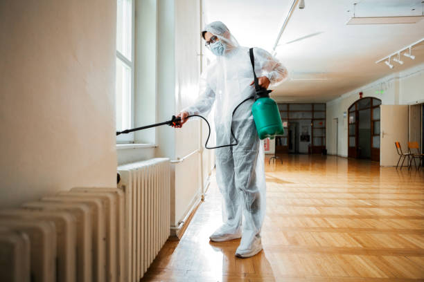 Best Affordable Pest Control Services  in Skyline Acres, OH